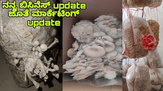 ನನ್ನ ಬಿಸಿನೆಸ್ update ಜೊತೆ ಮಾರ್ಕೆಟಿಂಗ್ update  Mushroom Marketing  Mushroom Cultivation In Kannada [upl. by Purity]