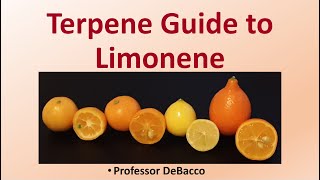 Terpene Guide to Limonene [upl. by Nalaf]