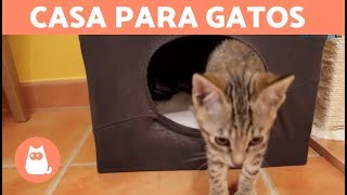 Casa para gatos casera con una camiseta  DIY [upl. by Mccready960]