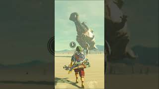 Defeating Molduking with Only A Few Shocking Blows Zelda BOTW [upl. by Trip]