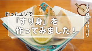 【郷土料理｜お魚レシピ】エソのすり身を作ってみました。 [upl. by Alistair388]