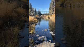 BlairsdenGraegle Bridge Graegle California shorts bridge historical river [upl. by Teodor558]