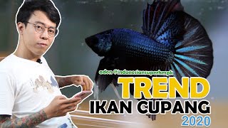 Trend Ikan Cupang 2020 indonesiansuperhmpk Eps1 [upl. by Ylrbmik]