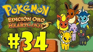 POKEMON ORO HEARTGOLD 34 El secreto de la ruta 32 [upl. by Leonhard]