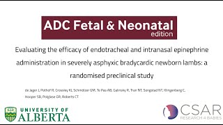 Endotracheal and intranasal epinephrine in severely asphyxic bradycardic newborn lambs [upl. by Haskel]