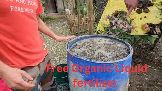 Yum Amahektada yam laina semba yaba yamna kanaba Organic ki Liquid fertilizer Manipur [upl. by Sal]