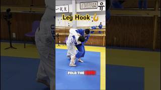 🪝🚀try this leg hook bending knee judo bjj jiujitsu 유도 [upl. by Sllew912]