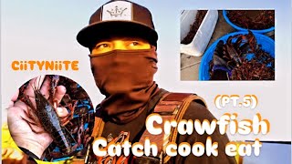 Crawfish 🦞 PT5 catch cook eat adventure [upl. by Anaujat443]