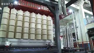 Fully Automatic Dyeing Process for Yarn Dyeing Processing Advancements [upl. by Helen]