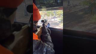 Deer Calls hunting huntingseason 243rifle 243 deer deerhunting deerblind deerfight [upl. by Wit729]