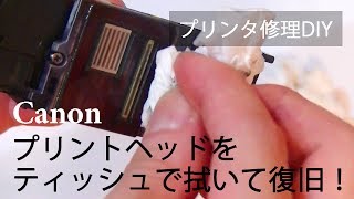 プリンタ修理DIY その１：プリントヘッドを取り出してティッシュできれいに拭いてみた Canon iX6830 [upl. by Mlohsihc255]