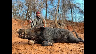 Hog Hunting at Hog Wild in Oklahoma  Nemaha Valley Outdoors [upl. by Eilzel]