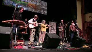 Alferd Packer Memorial String Band Performs at the 2019 Big Muddy Folk Festival [upl. by Llehsim]