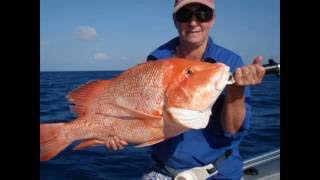 Cape Melville Bathurst Bay Fishing amp CampingTrip [upl. by Aicirtap99]