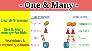 One and Many Concept For Kids  Singular and Plural Nouns  Class 1 [upl. by Aiva]