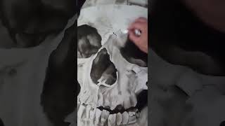 Death skull drawing  charcoal [upl. by Leunammi632]