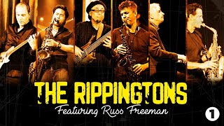 The Rippingtons Ultimate Mix 1 HQ  HD [upl. by Yetta474]