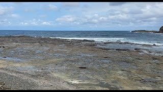 Shoalhaven Heads Flats Fishing [upl. by Yesrod86]