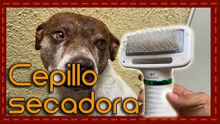 ¡Limpieza rápida y eficiente Revisión del cepillo aspiradora para perros que cambiará tu vida [upl. by Lianne818]