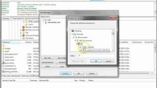 FileZilla Configuration [upl. by Ennaillij]