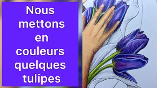 Tutoriel colorions des tulipes [upl. by Etsyrk]