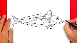 How to draw Red Gurnard  Easy Drawing Red Gurnard Fish [upl. by Frohne]