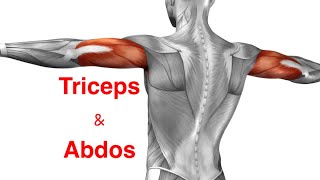 Entraînement pour Triceps amp Abdos avec poids légers [upl. by Schreiber]