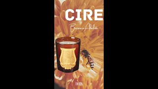 CIRE Beewax Absolute Candle  Trvdon aka Trudon shorts [upl. by Hadden627]