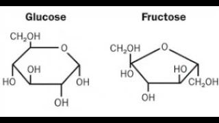 biochimie les propriétés des oses et les oligosides en arabe [upl. by Bevis]