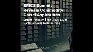 BRICS Summit Reveals Commodity Cartel Aspirations [upl. by Isia]