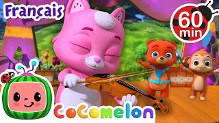 Hé petit chaton le chat  Chansons pour Bébés  CoComelon Le coin des Animaux de JJ  Comptines [upl. by Enuahs10]