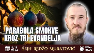 quotPARABOLA SMOKVE KROZ TRI EVANĐELJAquot Šejh Redžo Muratović [upl. by Amikat66]