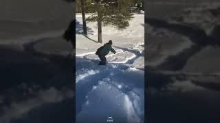 Clam getting down youtubeshorts shorts arizona flagstaff snowboarding snow tiktok america [upl. by Aire842]