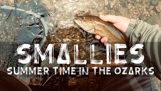 Summer Time Smallies In The Ozarks flyfishing smallmouth ozarks catchreleaserepeat [upl. by Hanfurd]