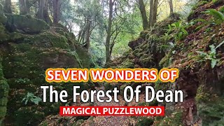 Puzzlewood  Seven Wonders Of The Forest Of Dean Episode 4 [upl. by Trix]