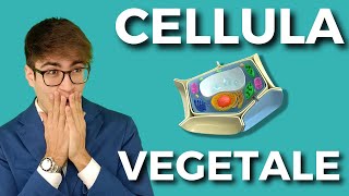 LA CELLULA VEGETALE in meno di 5 minuti [upl. by Kellia]