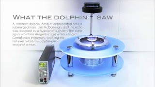 What the dolphin saw CymaticHolographic imaging technique [upl. by Rowney210]