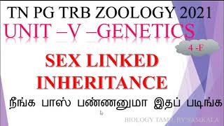 TN PG TRB ZOOLOGY UNIT 5  GENETICS  SEX LINKED INHERITANCE IN BIOLOGY TAMIL BY SASIKALA [upl. by Moffat]