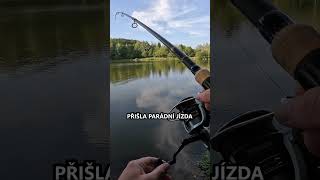 Brutální KAPŘÍ jízdy🎣shorts [upl. by Akcemat]