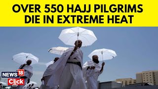 Hajj 2024 News Updates  Extreme Heat Kills At Least 550 Mostly Egyptian Pilgrims  G18V  News18 [upl. by Htnnek442]