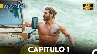 Pájaro Soñador Capítulo 1 Doblado En Español 4K [upl. by Leasim740]