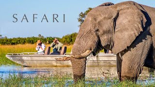 African Safari  Epic wildlife film with lions leopards amp elephants 4K UHD [upl. by Eerol]