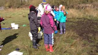 Pond dipping at Little Gaddesden [upl. by Can]