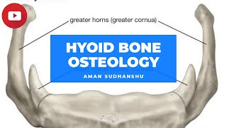 HYOID BONE  OSTEOLOGY  ANATOMY  BDC  AMAN SUDHANSHU  TNMC [upl. by Ecnahc296]