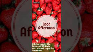 Good afternoon whatsapp status video  afternoon post  noon greetings  good after noon wish [upl. by Chouest]