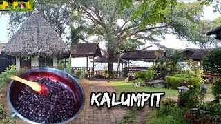 Harvesting KALUMPIT amp Turn it into Jam  Minatamis na Kalumpit  Philippine Provincial Life [upl. by Neehs]