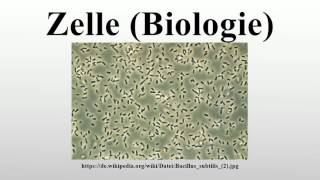 Zelle Biologie [upl. by Adina957]