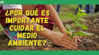 ¿Por qué es importante CUIDAR EL MEDIO AMBIENTE VIDEO EDUCATIVO 📚 [upl. by Ssenav]