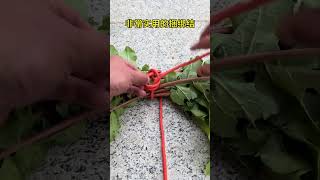 Very practical binding knot [upl. by Halverson]