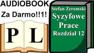 Rozdział 12 Syzyfowe Prace Stefan Żeromski AUDIOBOOK  Pan Lektor [upl. by Dlarrej]